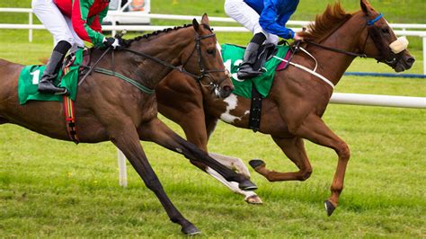 indiarace odds today|The Best Indian Horse Racing information site for live .